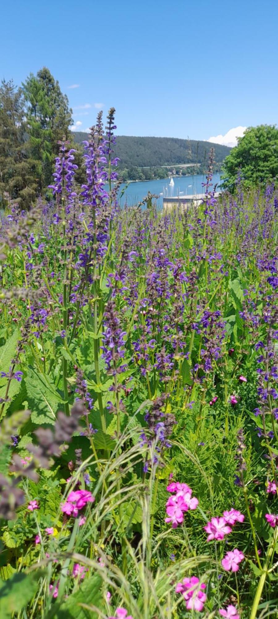 Glanz Und Gloria Velden! Woerthersee In 5 Min Zu Fuss Erreichbar! Velden am Wörthersee Екстериор снимка